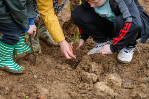Children wearing wellies bury tree roots into the ground