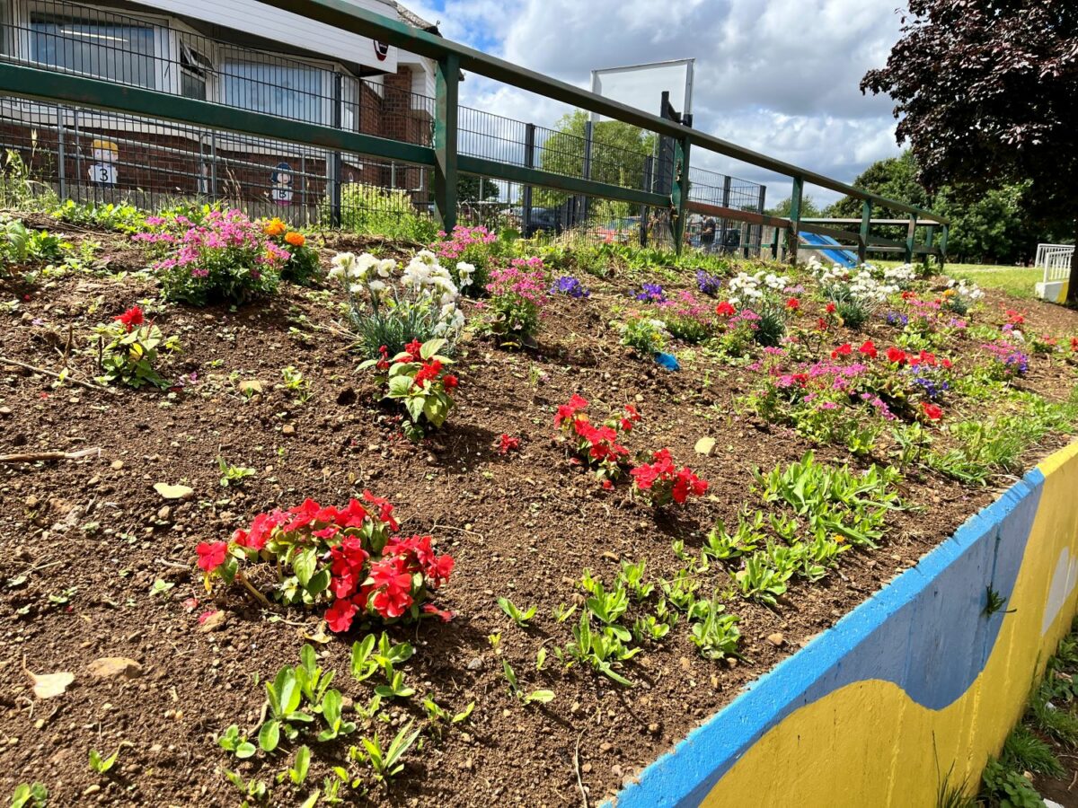 ‘Pops of colour’ for six green spaces across Wellingborough featured image